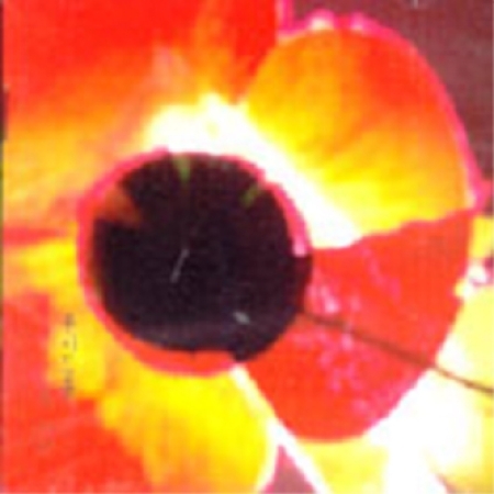 ImageViewerEShop (7).jpg